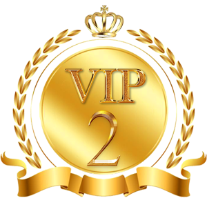 VIP 2