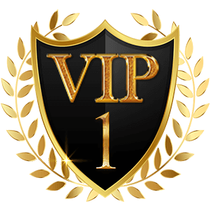 VIP 1