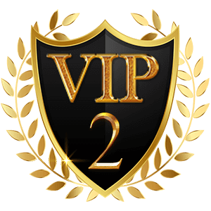 VIP 2