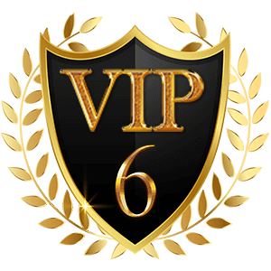 VIP 6