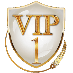 VIP 1