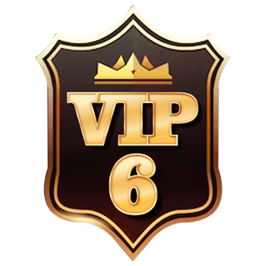 VIP 6