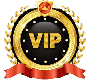 VIP 每月特别奖金